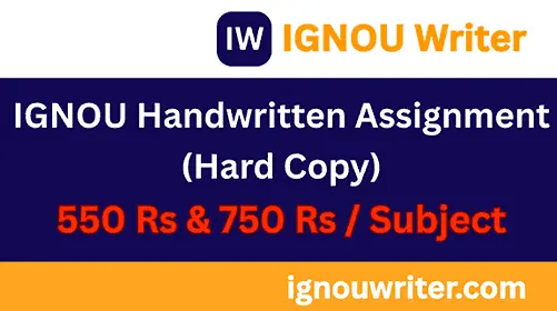 Express handwritten dispatch